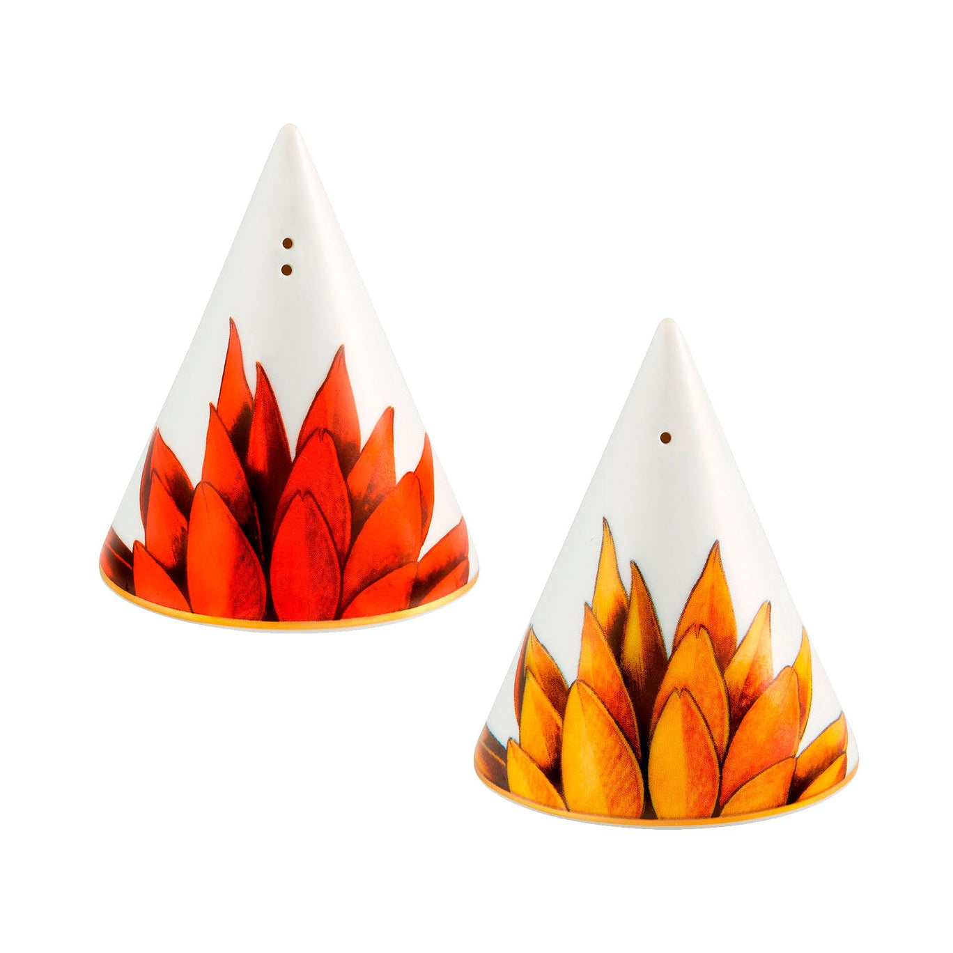 Vista Alegre Amazonia Set Salt/ Pepper