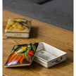 Vista Alegre Amazonia Card Box