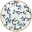 Raynaud Cristobal Marine Soja Dish