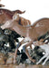 Lladro Pursued Deer Sculpture - Limited Edition