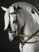 Lladro Spanish Pure Breed Sculpture Horse - Limited Edition