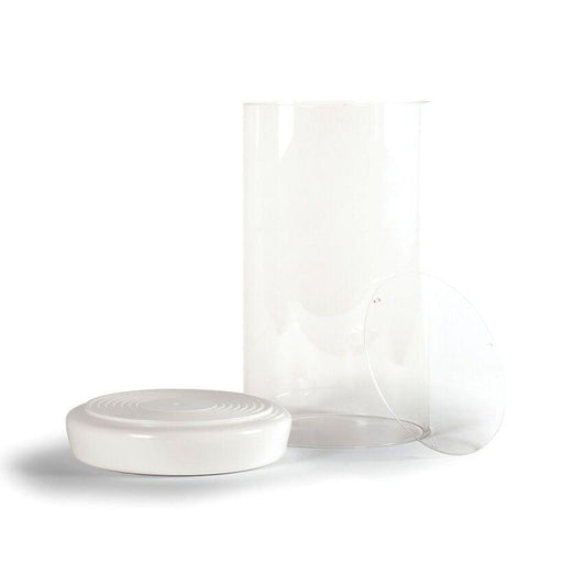 Lladro Glass Dome + Base Haute Allure Collection
