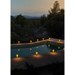 Lladro Cactus Firefly Table Lamp