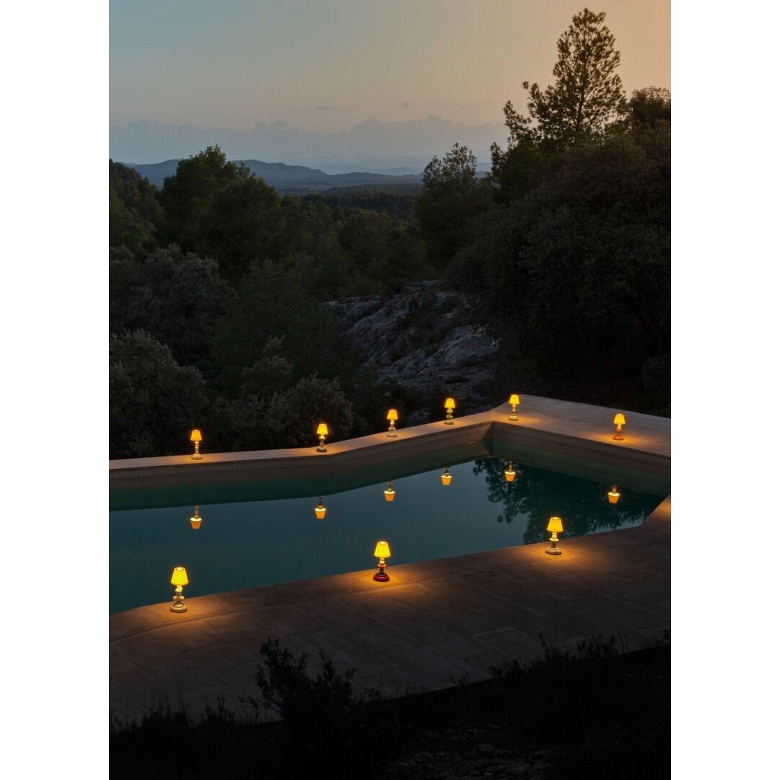Lladro Cactus Firefly Table Lamp