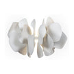 Lladro Nightbloom Wall Sconce US