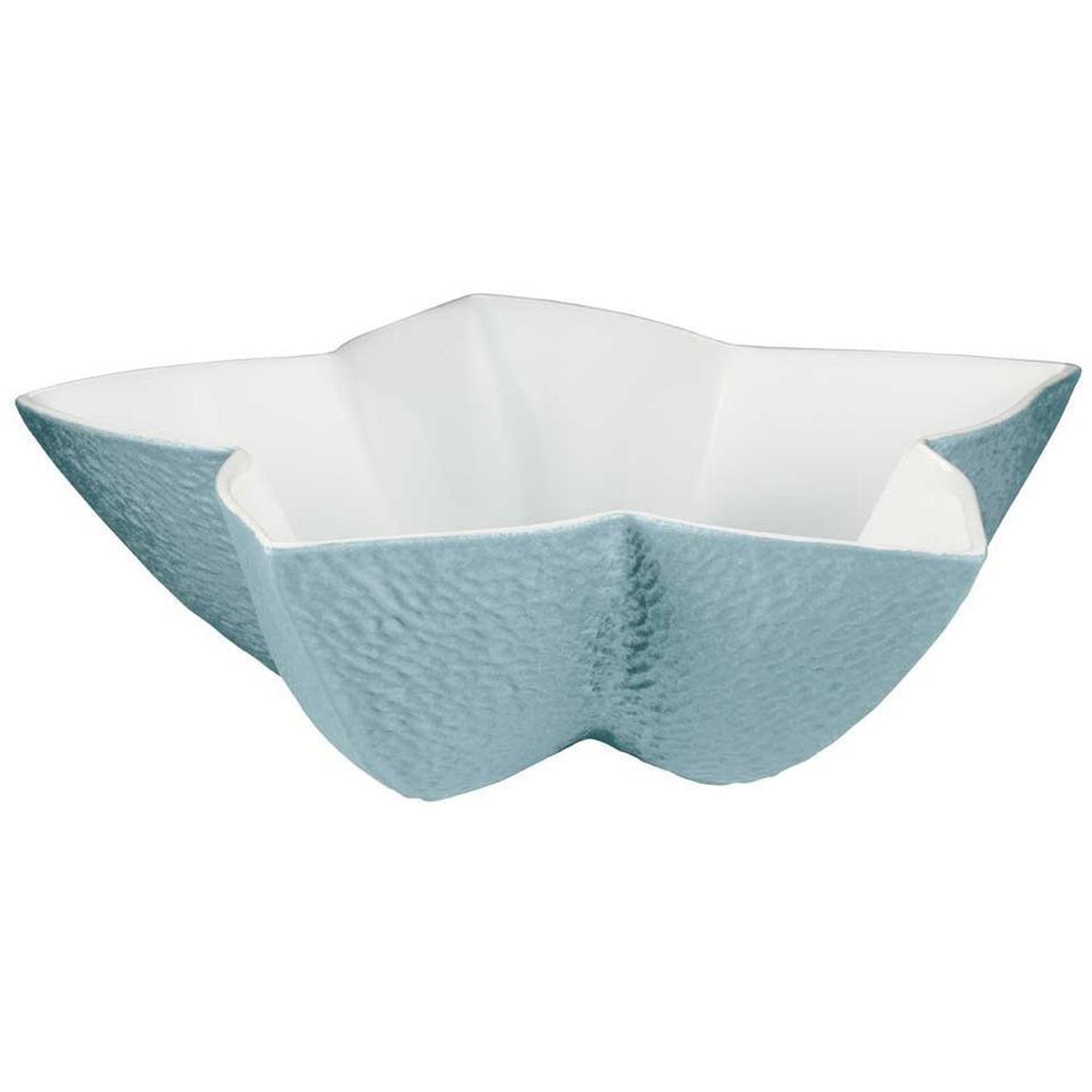 Raynaud Mineral Irise Sky Blue Star Cup
