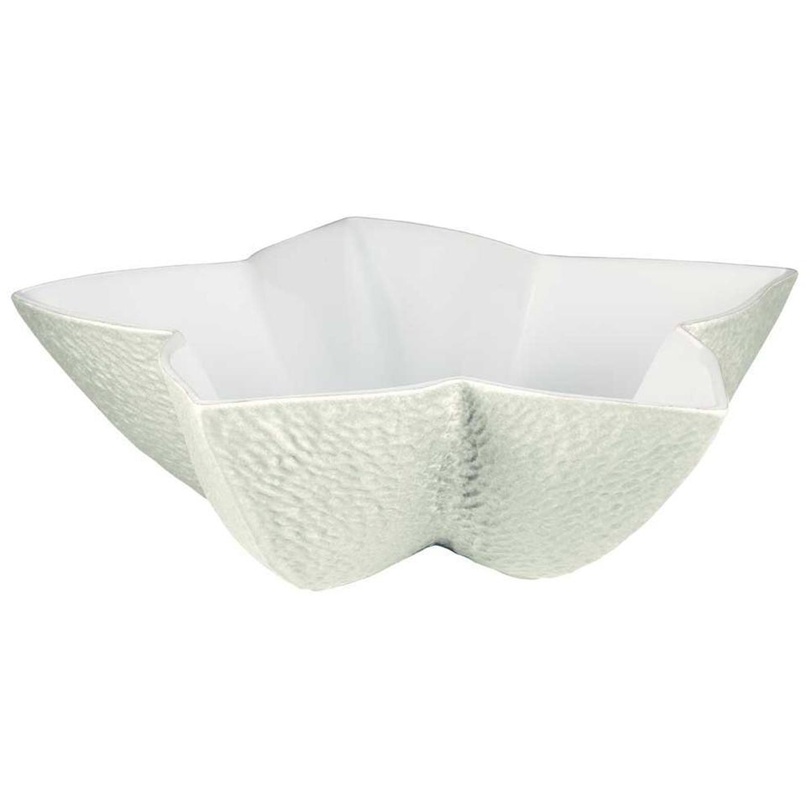 Raynaud Mineral Irise Shell Star Cup