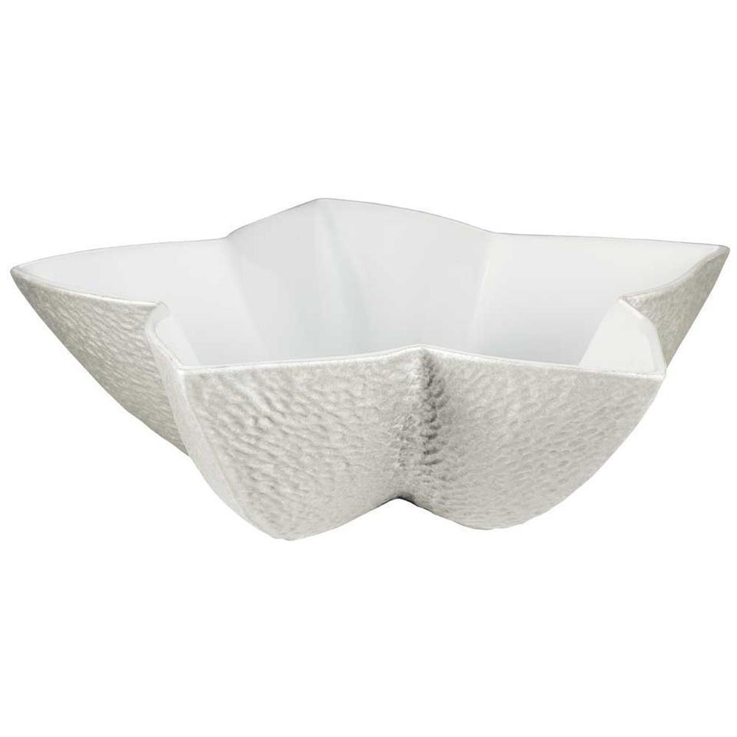 Raynaud Mineral Irise Pearl Grey Star Cup