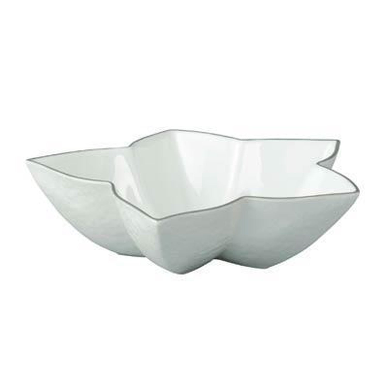 Raynaud Mineral Filet Platinum Star Cup White Inside