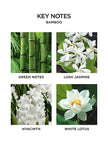 Nest Bamboo 3-Wick Candle
