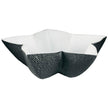 Raynaud Mineral Irise Black Star Cup