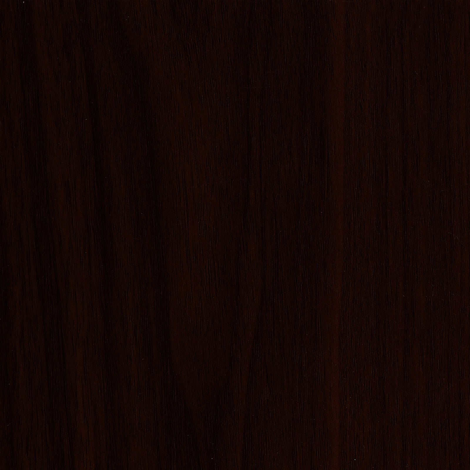 Euro Style Evelina Bar Stool