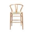 Euro Style Evelina Counter Stool
