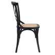 Euro Style Neyo Side Chair - Set of 2