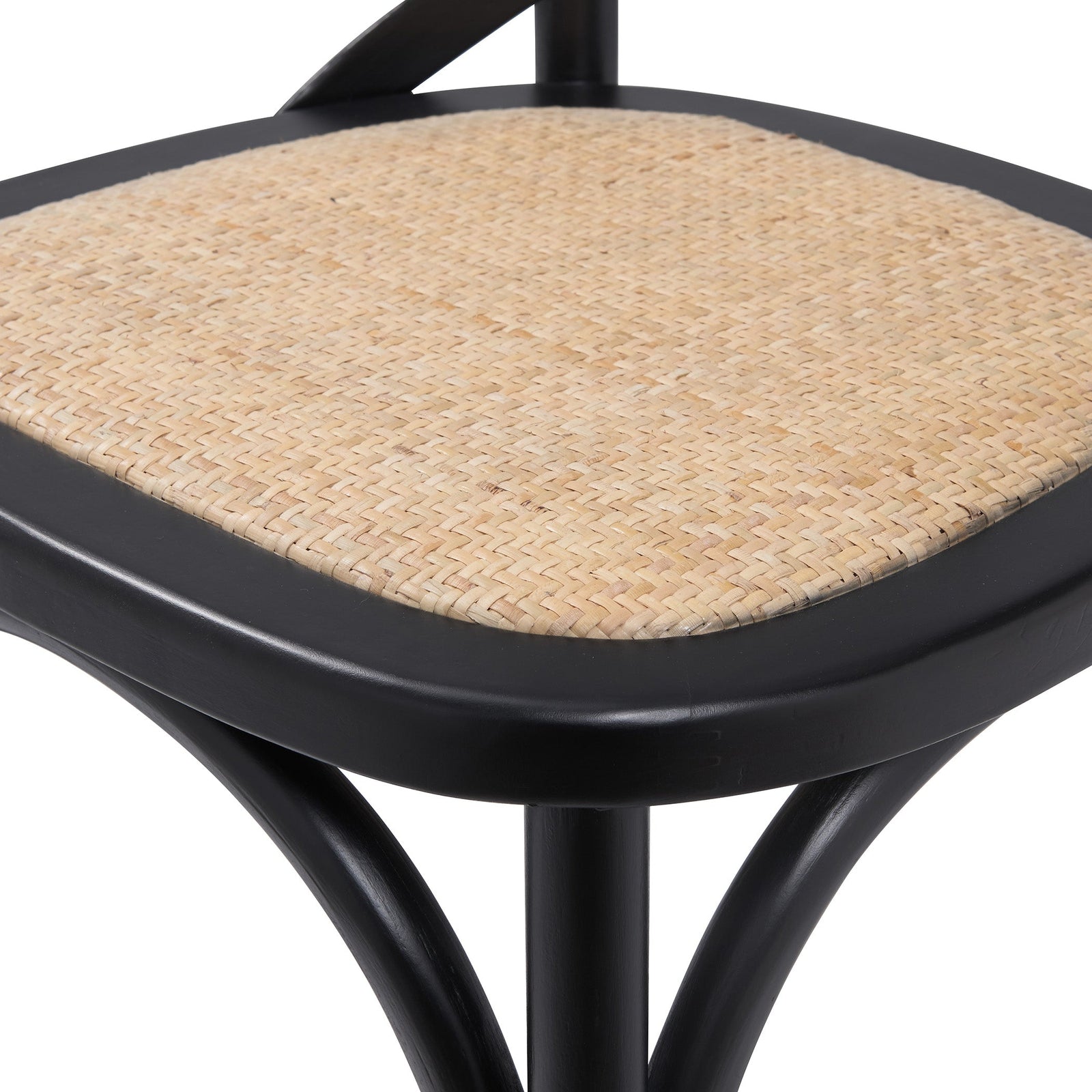 Euro Style Neyo Side Chair - Set of 2