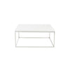 Euro Style Sale Teresa Square Coffee Table