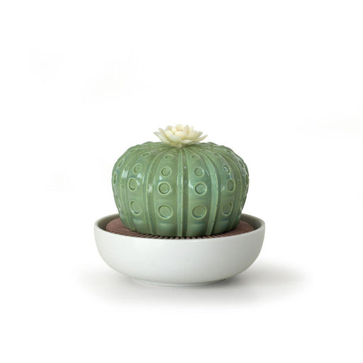 Lladro Astrophytum Cactus Diffuser