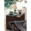Lladro Cactus Firefly Table Lamp