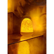Lladro Lace Dome Table Lamp