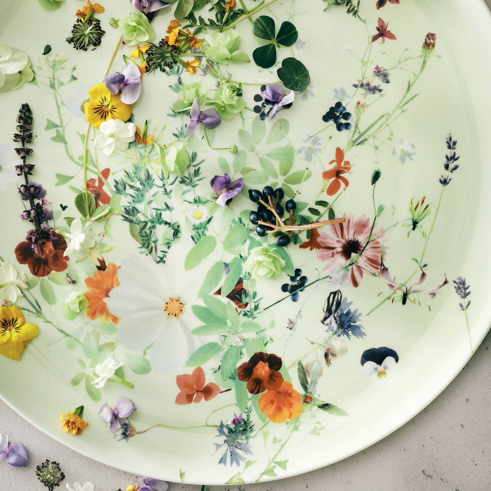 Rosenthal Brillance Grand Air Service Plate Coupe