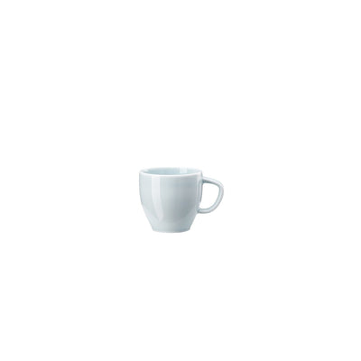 Rosenthal Junto Opal Green A.D. Cup