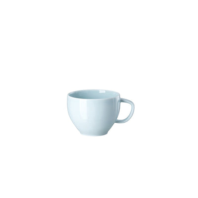 Rosenthal Junto Opal Green Combi Cup