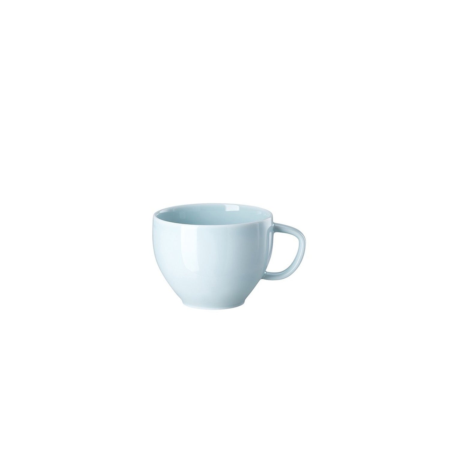 Rosenthal Junto Opal Green Combi Cup