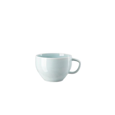 Rosenthal Junto Opal Green Cafe au Lait Cup