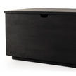 Duncan Trunk