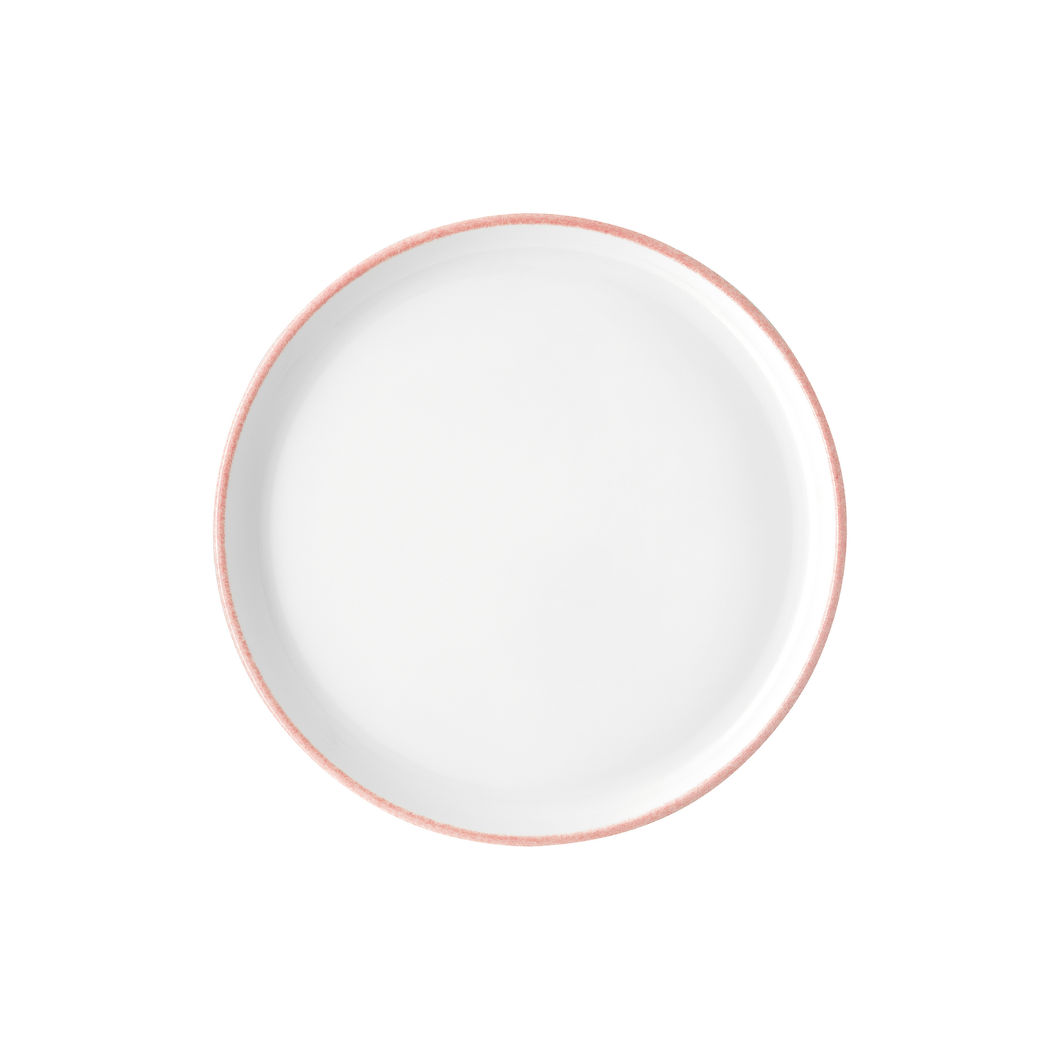 Rosenthal Profi Easy Powder Dinner Plate