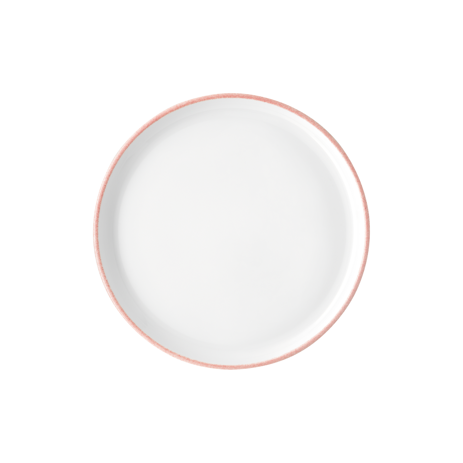 Rosenthal Profi Easy Powder Dinner Plate