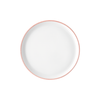 Rosenthal Profi Easy Powder Dinner Plate