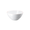 Rosenthal Profi Easy Powder Serving Bowl