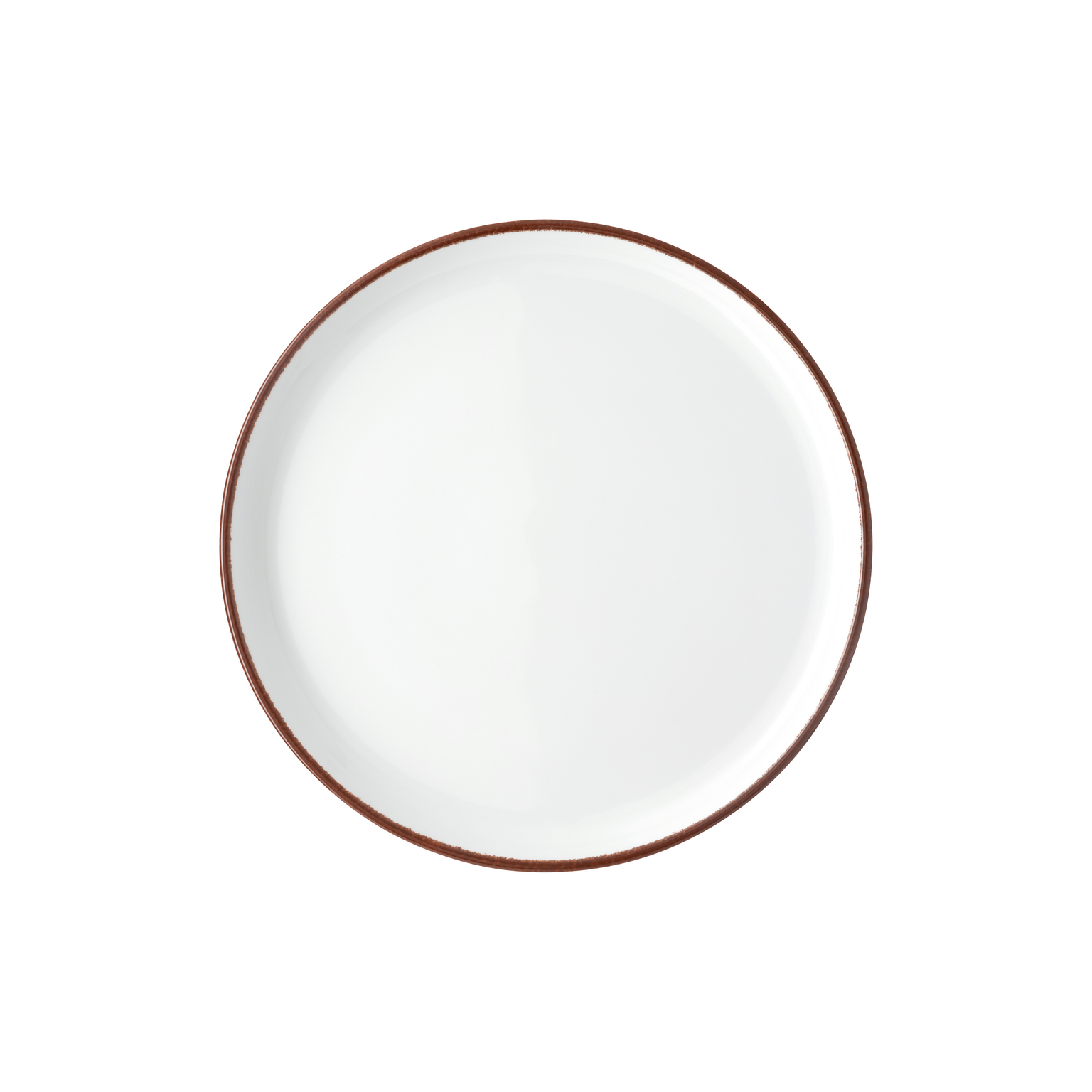 Rosenthal Profi Easy Earth Dinner Plate