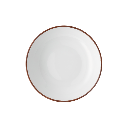 Rosenthal Profi Easy Earth Gourmet Plate/Serving Bowl Shallow