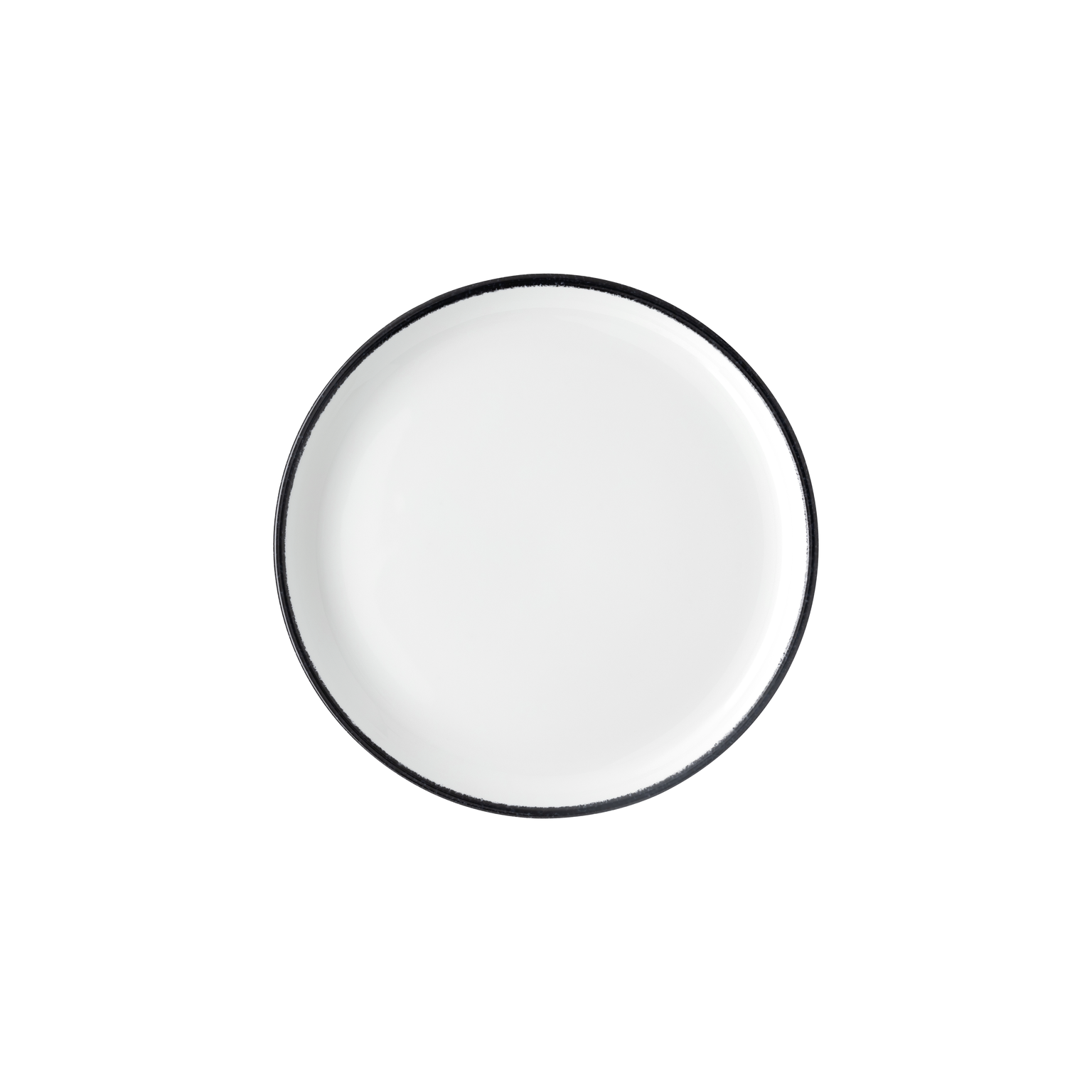 Rosenthal Profi Easy Rock Salad Plate