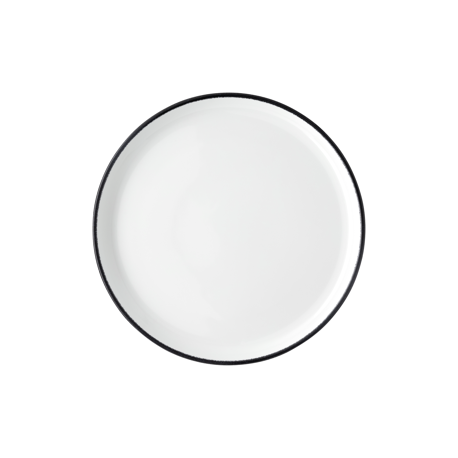 Rosenthal Profi Easy Rock Dinner Plate