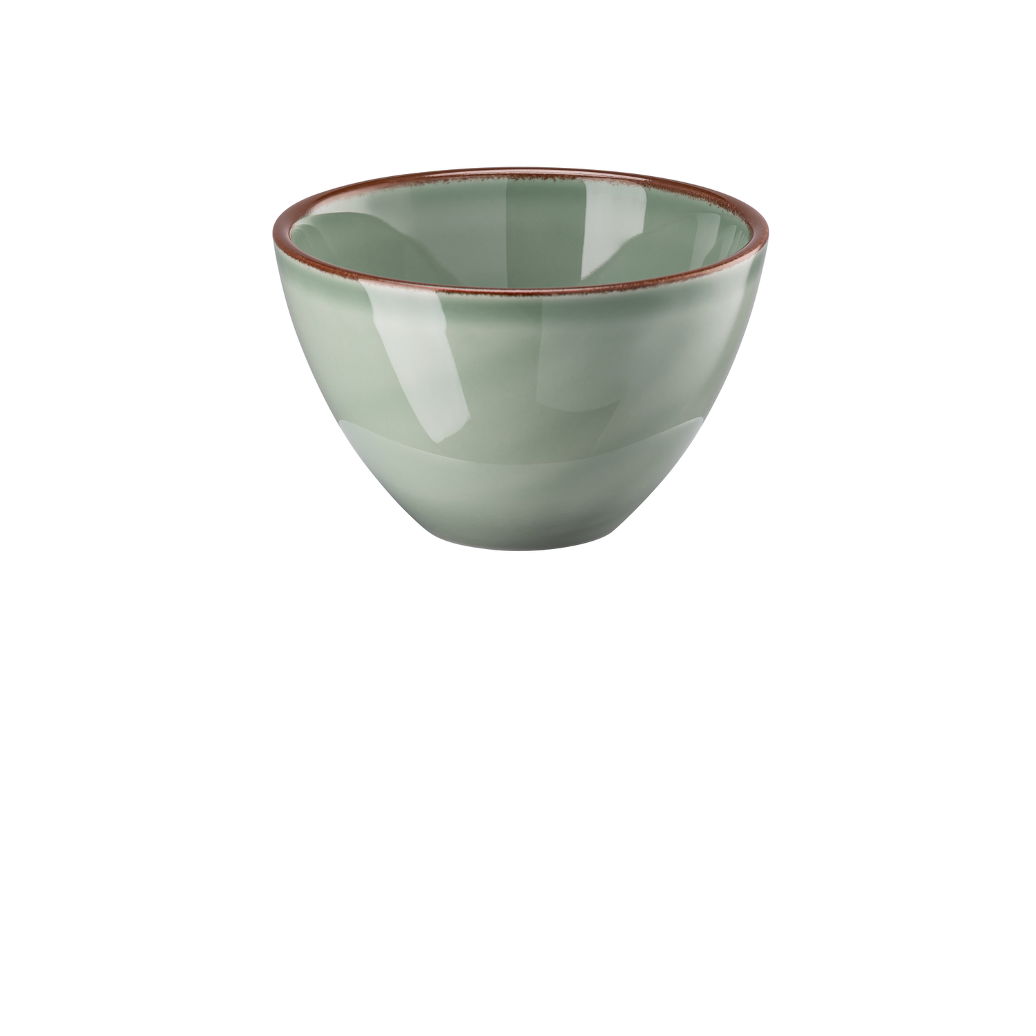 Rosenthal Profi Casual Moss Bowl
