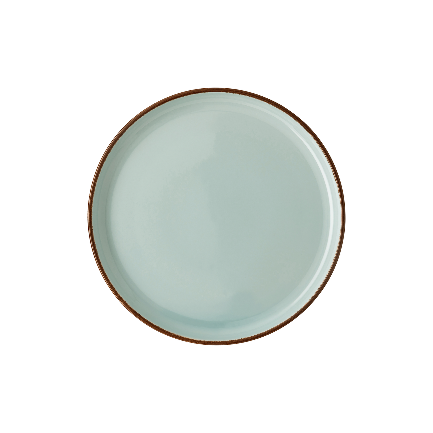 Rosenthal Profi Casual Mint Dinner Plate