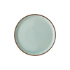 Rosenthal Profi Casual Mint Dinner Plate