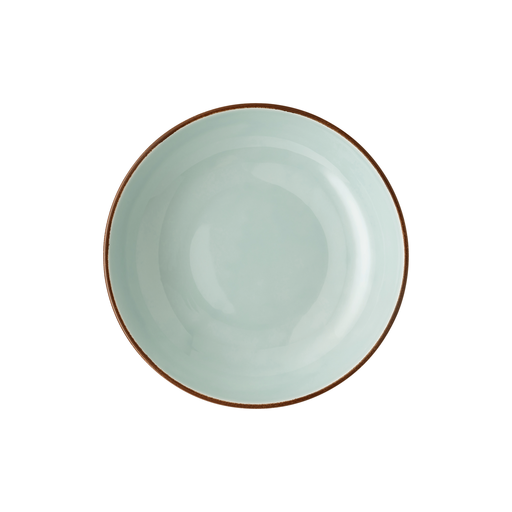 Rosenthal Profi Casual Mint Gourmet Plate/Serving Bowl Shallow