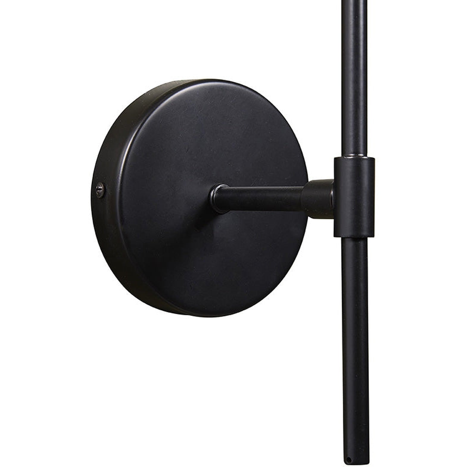 Sunpan Izora Sconce