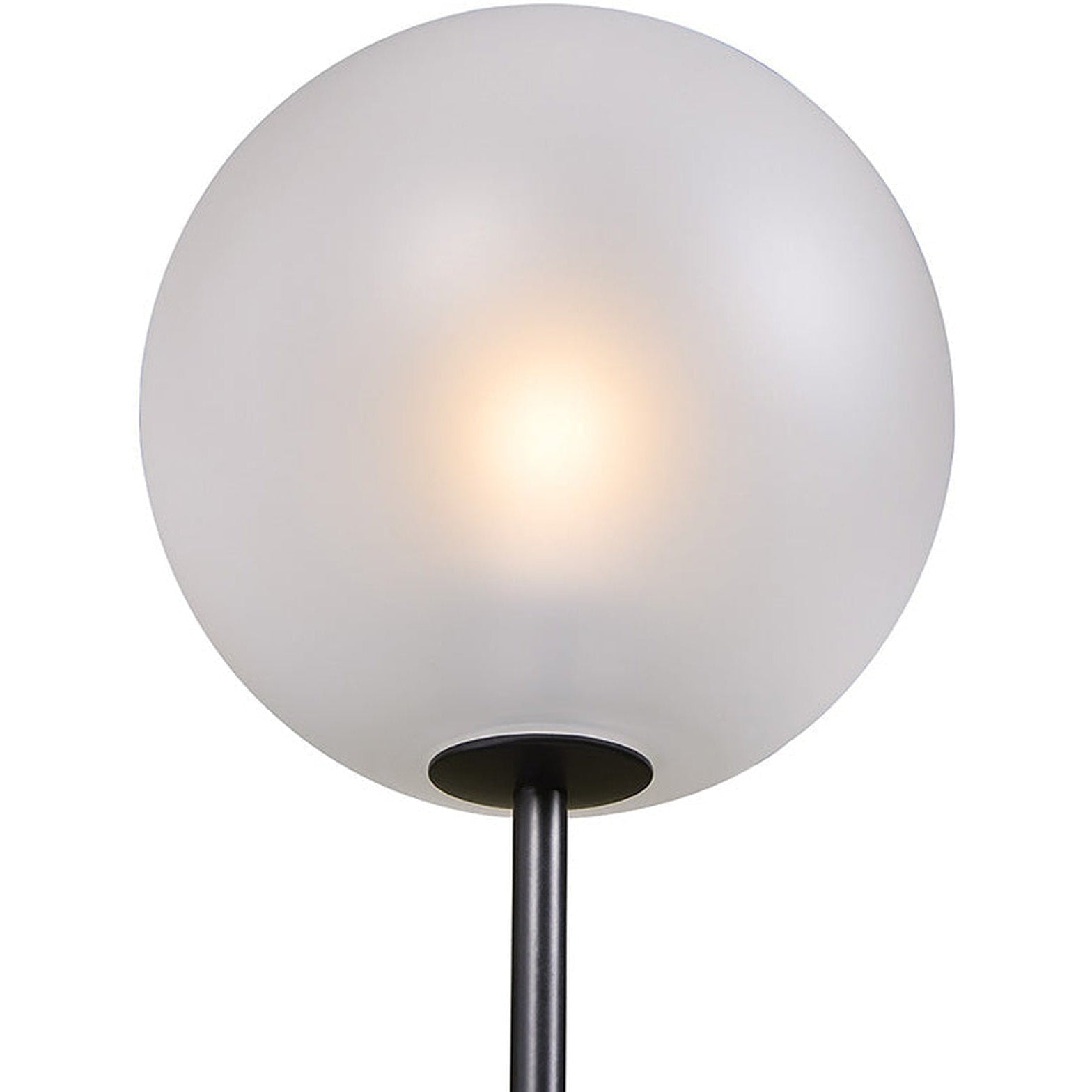 Sunpan Izora Sconce