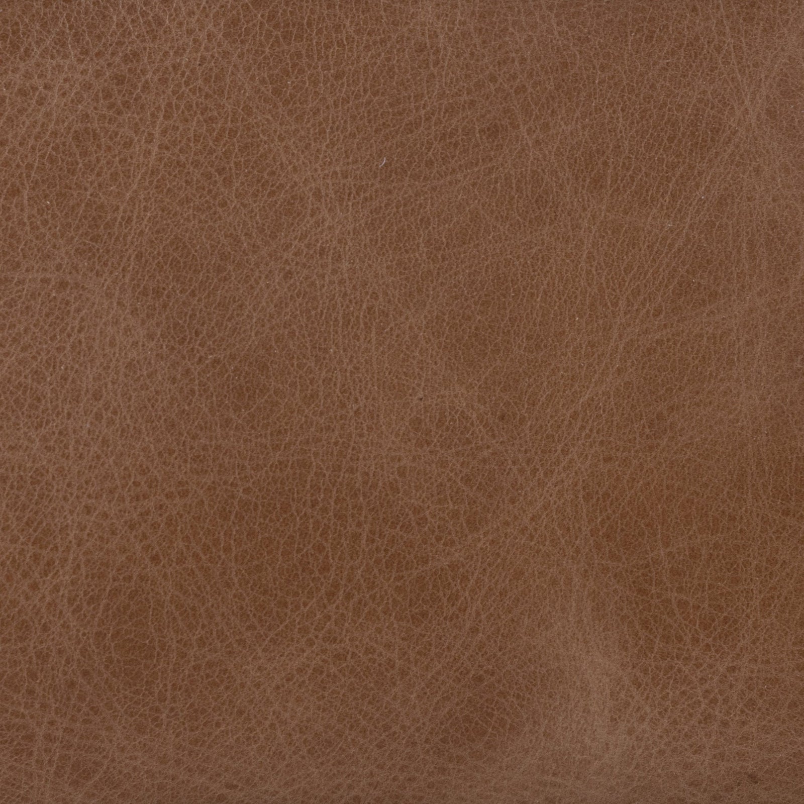 Carrie Counter Stool