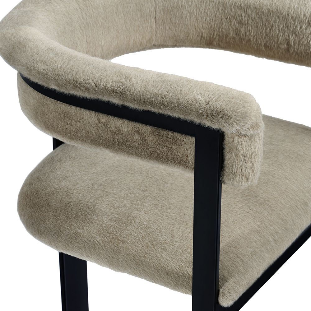 Interlude Home Darcy Dining Chair in Black