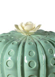 Lladro Astrophytum Cactus Diffuser