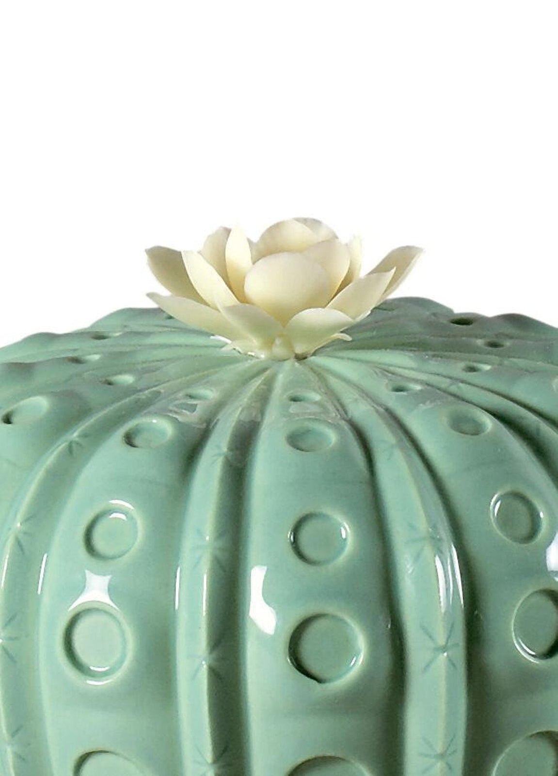 Lladro Astrophytum Cactus Diffuser