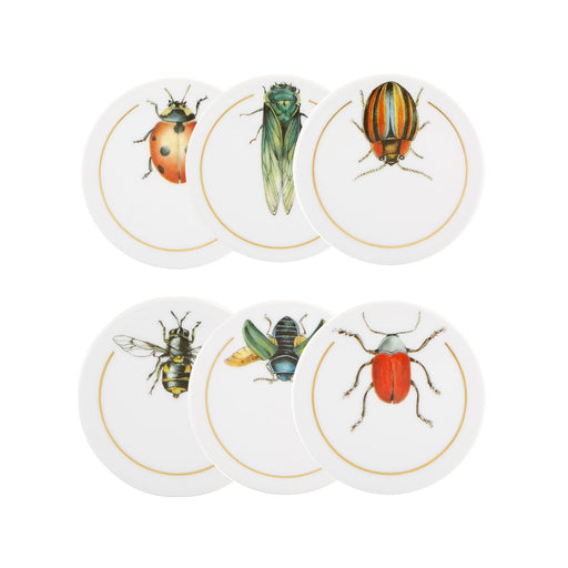 Vista Alegre Insects Coasters - Set of 6