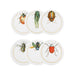 Vista Alegre Insects Coasters - Set of 6