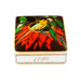 Vista Alegre Amazonia Card Box